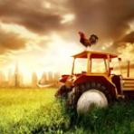 Краснодар и перспективы сельского хозяйства
