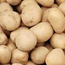 Особенности питания картофеля